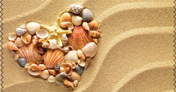 Sand and shell Background